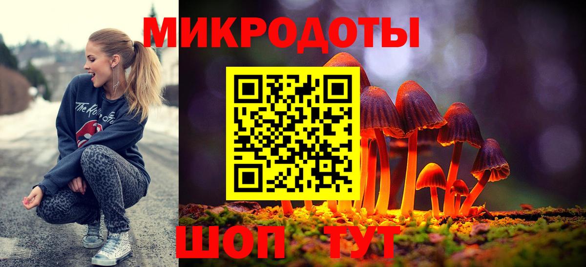 Галлюциногенные грибы Psilocybine cubensis Медногорск