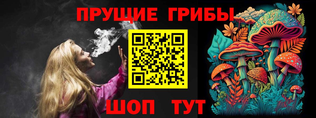 Псилоцибиновые грибы MAGIC MUSHROOMS  Галлюциногенные грибы GOLDEN TEACHER  Медногорск  Вход с VPN 